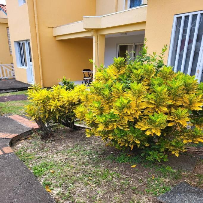 Appartement A Saint-Anne - Residence Beauregard Сент-Анн Экстерьер фото
